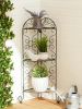 3 Tier Corner Plant Stand - Stylish And Space-Saving Plant Display Solution